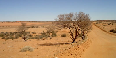 Road to Marree