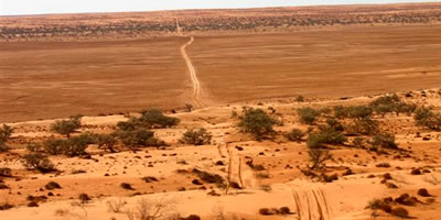 Simpson Desert Sand Dunes